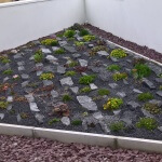Plum slate edge to this Burren style rockery. Western Plant Nursery, Sligo